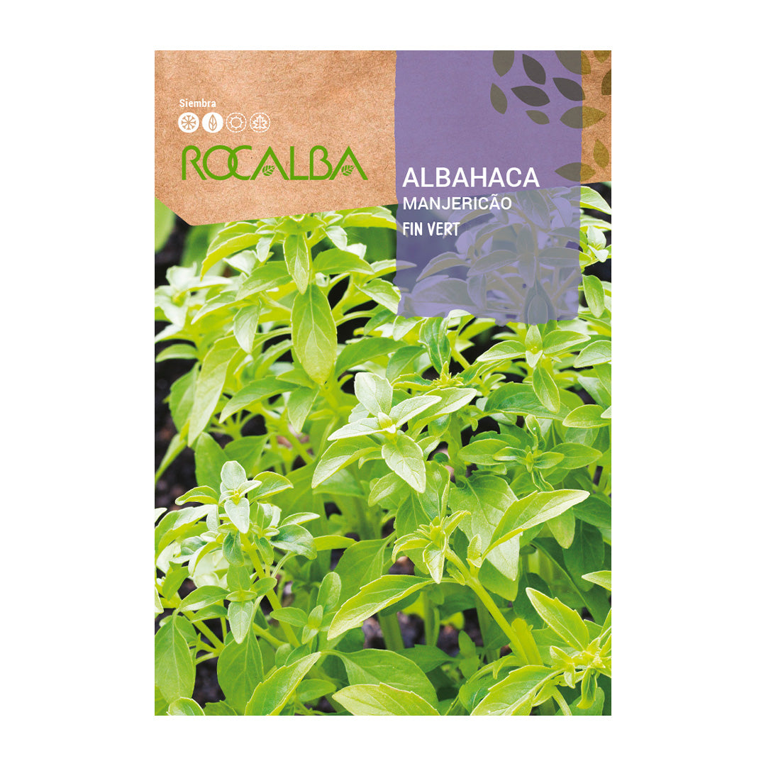 Albahaca Fina
