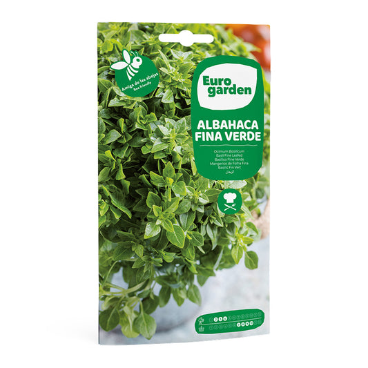 Albahaca Fina Verde