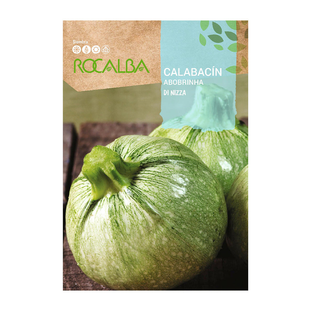 Calabacín Di Nizza