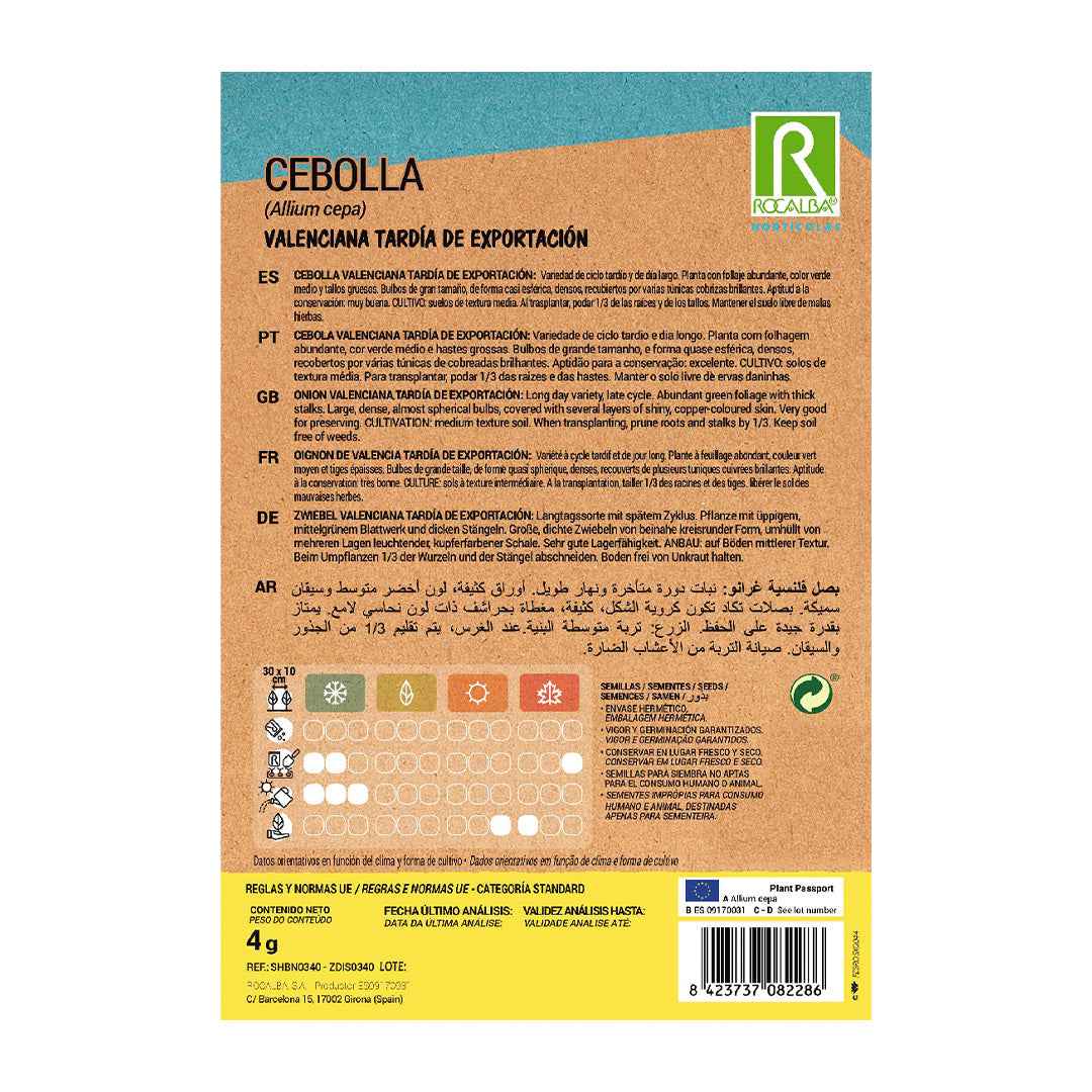 Cebolla Valenciana Tardía de Exportación