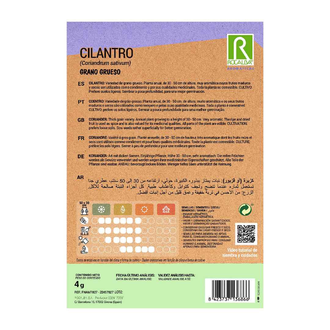 Cilantro
