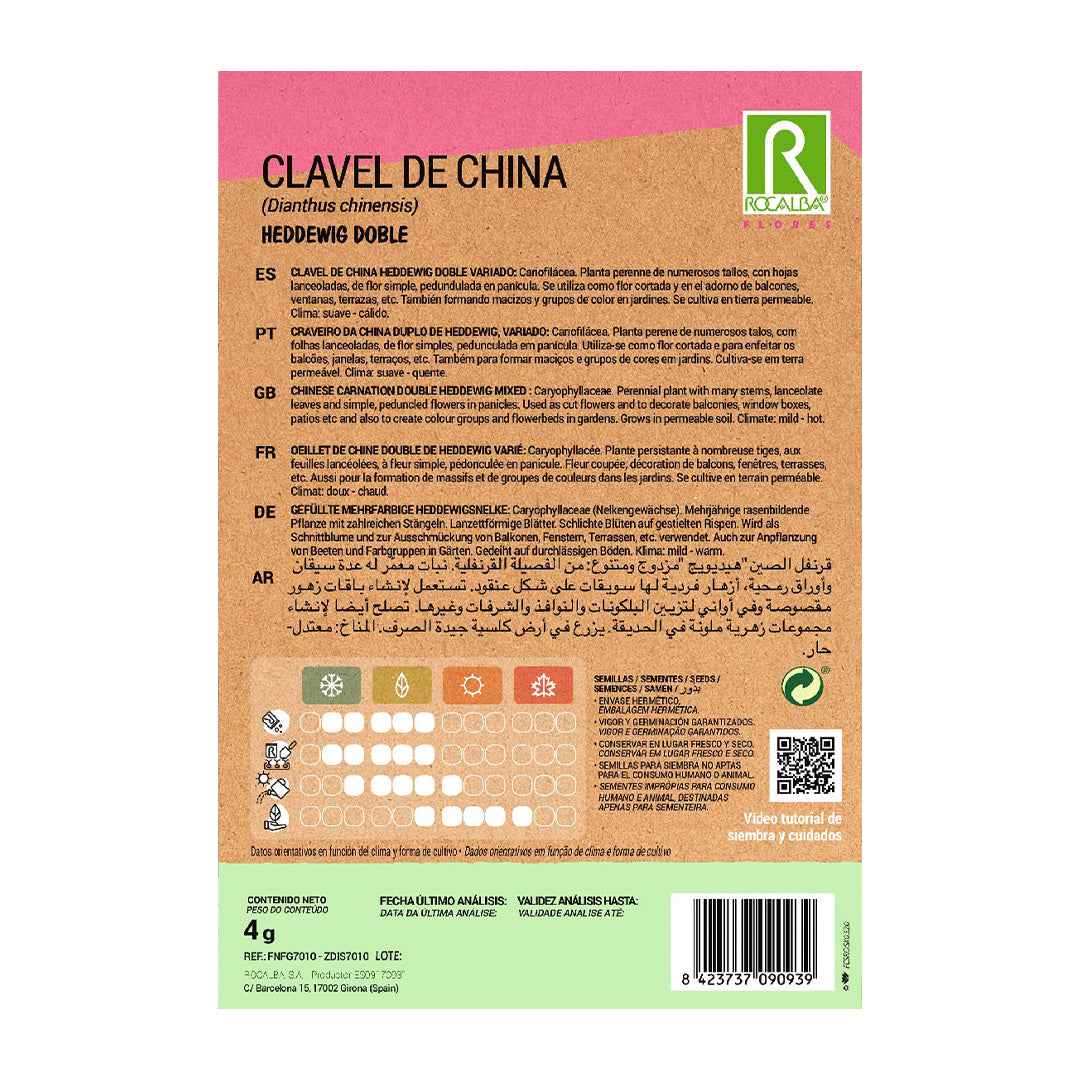 Clavel de China Heddewig Doble Variado