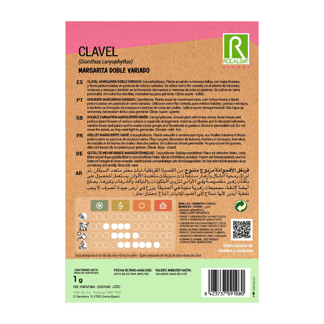 Clavel Margarita Doble Variado