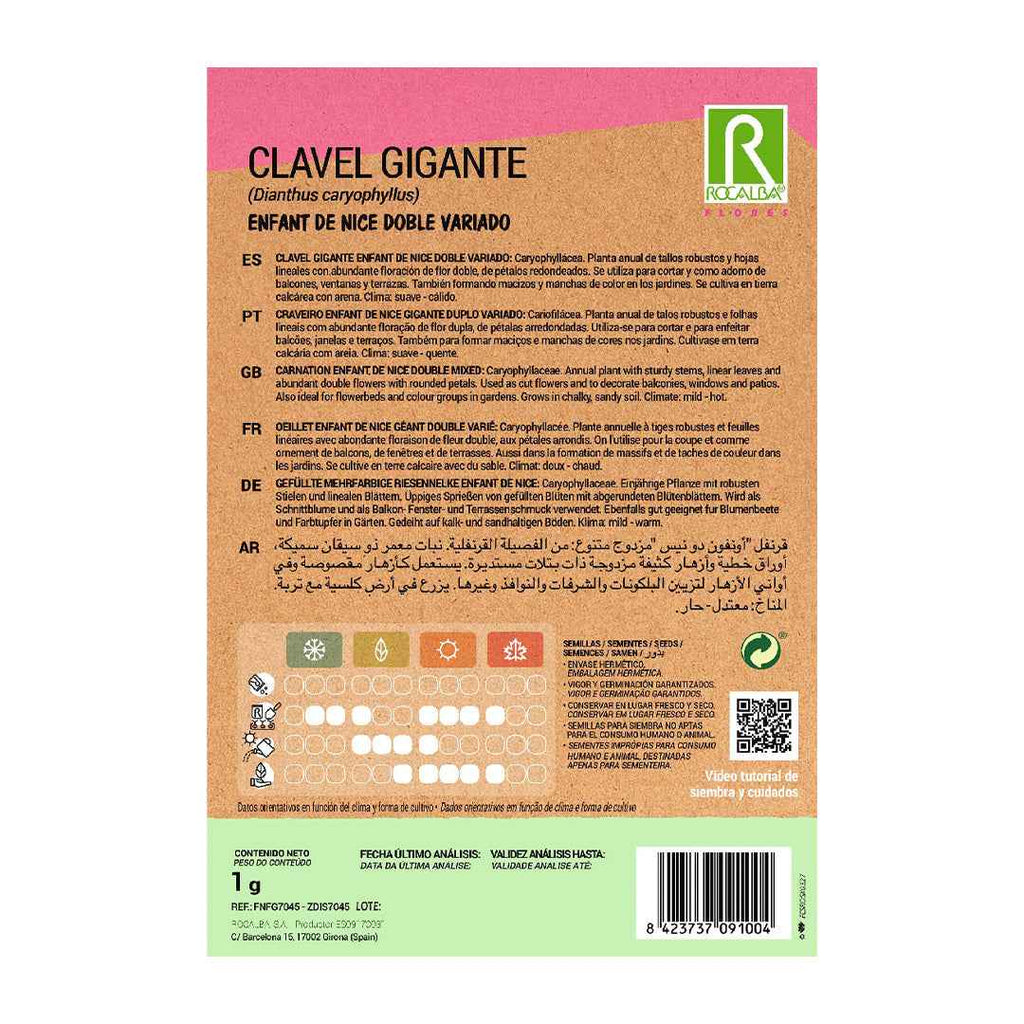 Clavel Gigante Enfant de Nice Doble Variado