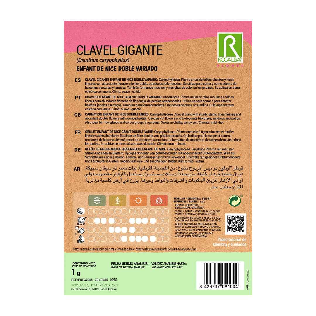 Clavel Gigante Enfant de Nice Doble Variado