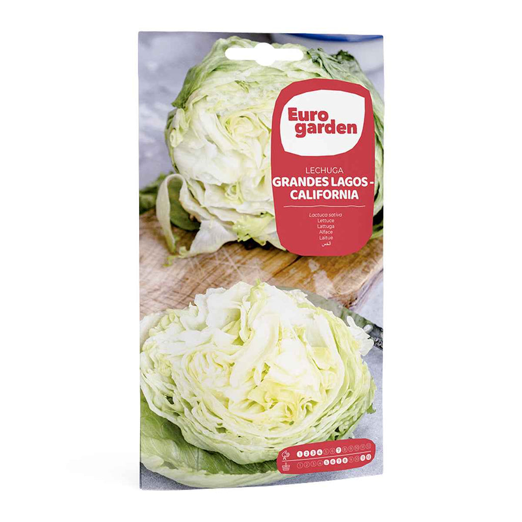 Lechuga California