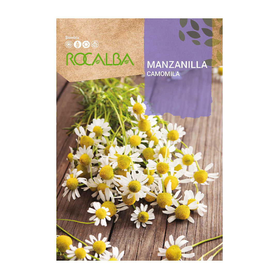 Manzanilla