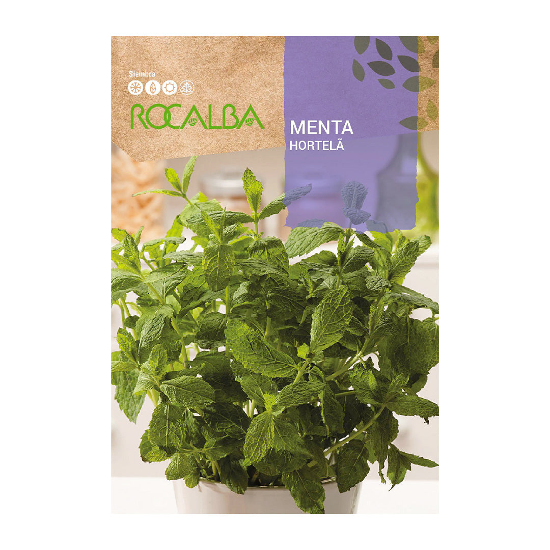Menta