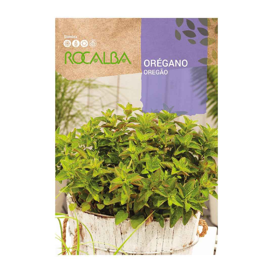 Orégano