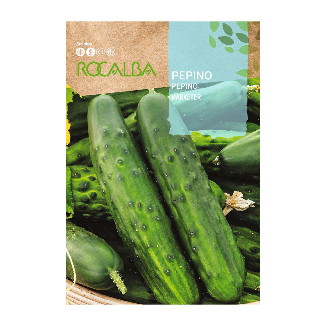 Pepino Marketer
