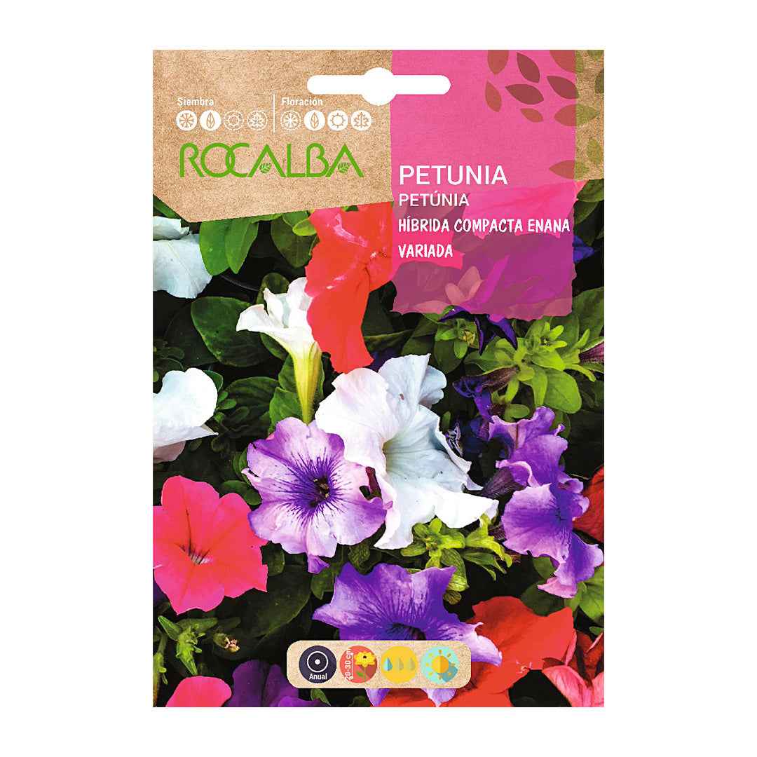 Petunia Híbrida Compacta Enana Variada