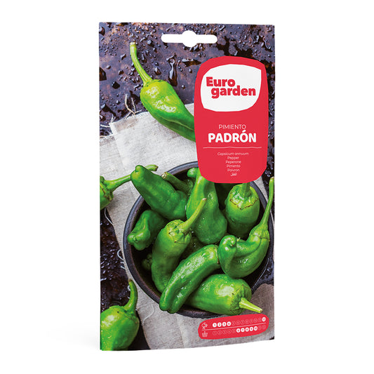 Pimiento Padrón