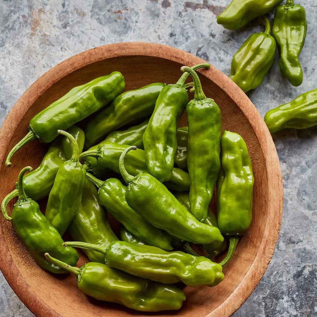 Pimiento Padrón