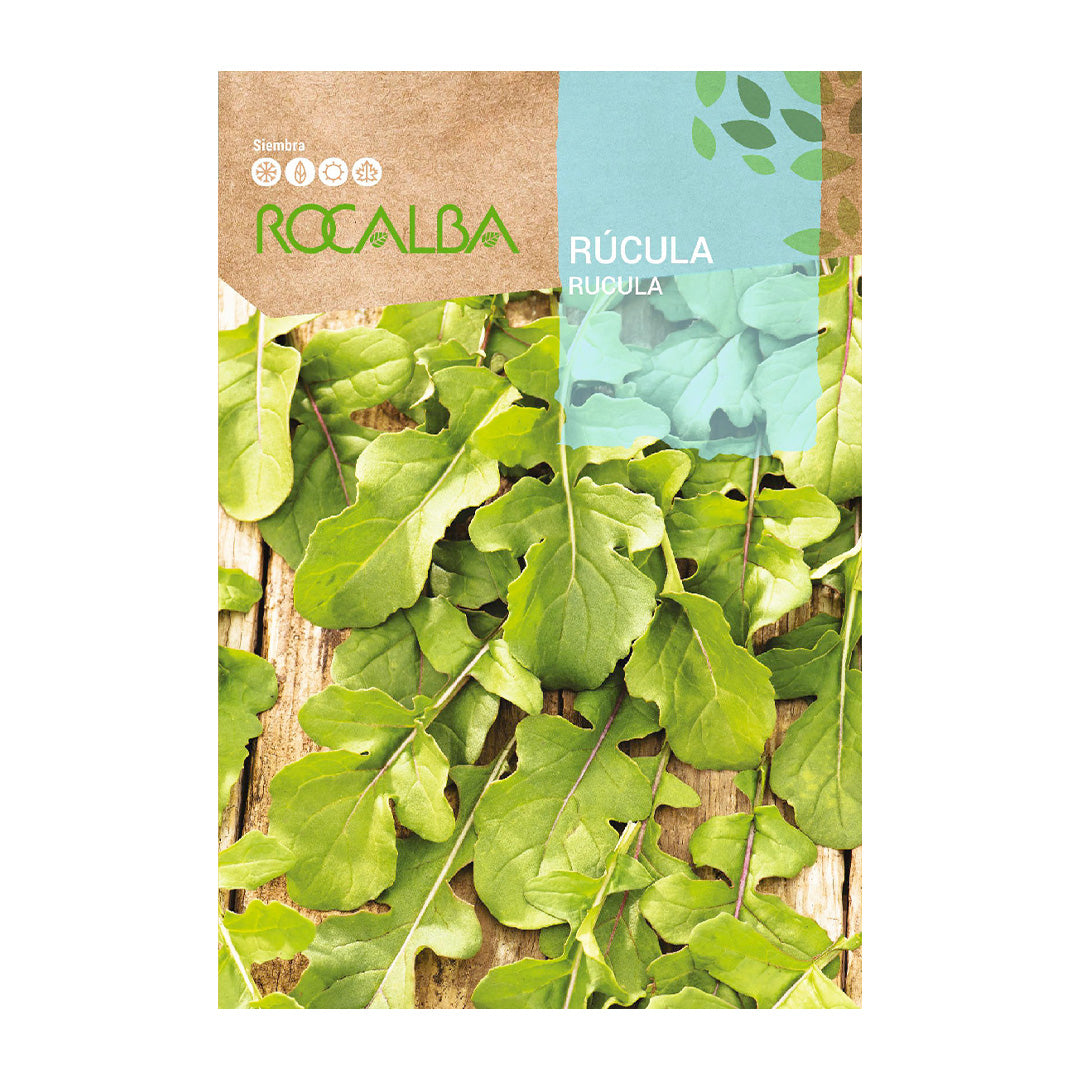Rúcula