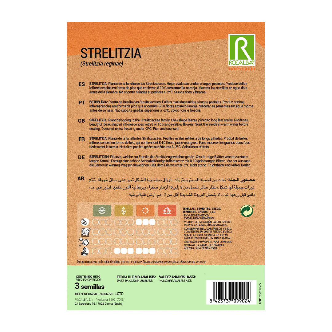 Strelitzia