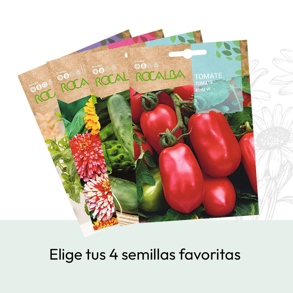 Kit de germinación