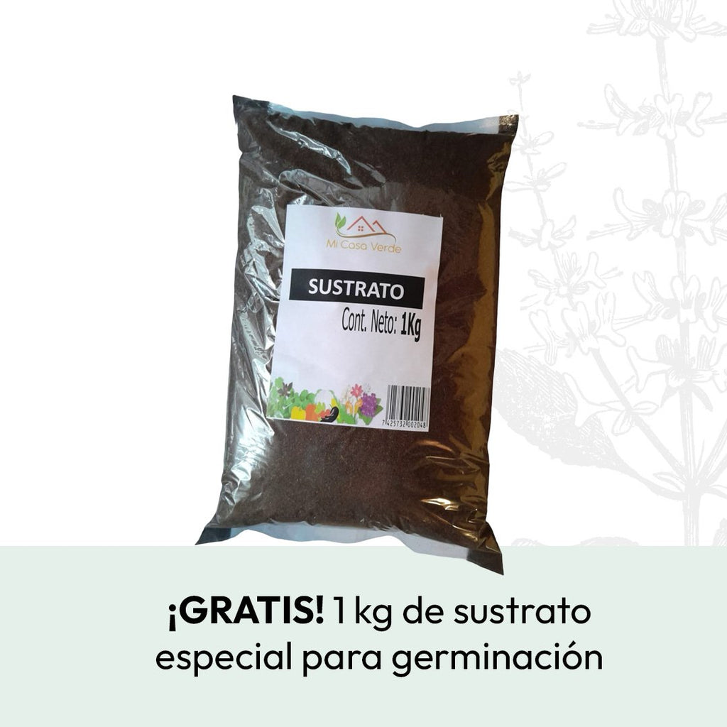 Kit de germinación