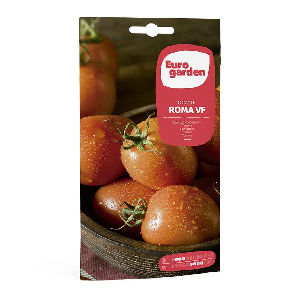 Tomate Roma