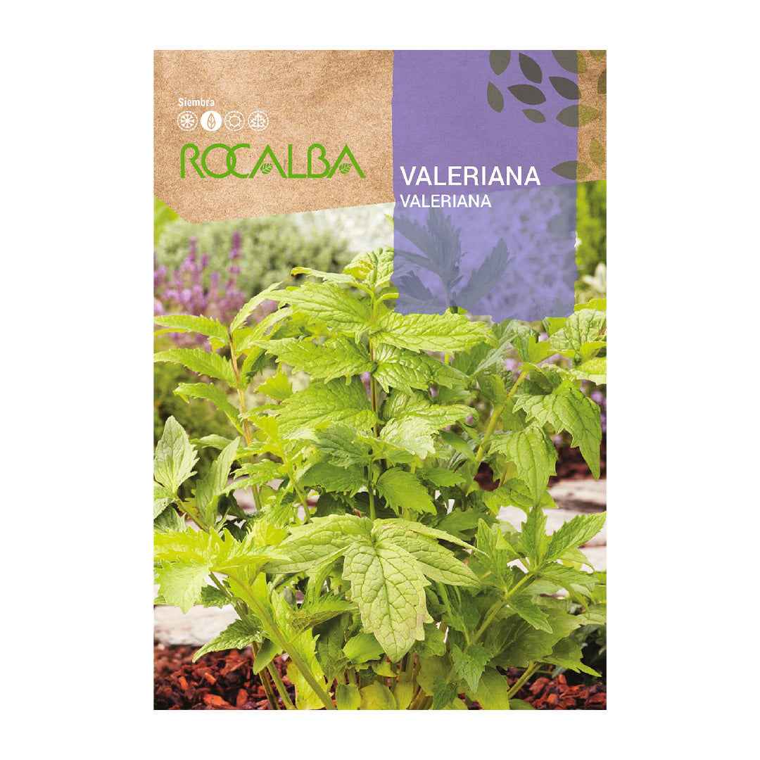 Valeriana